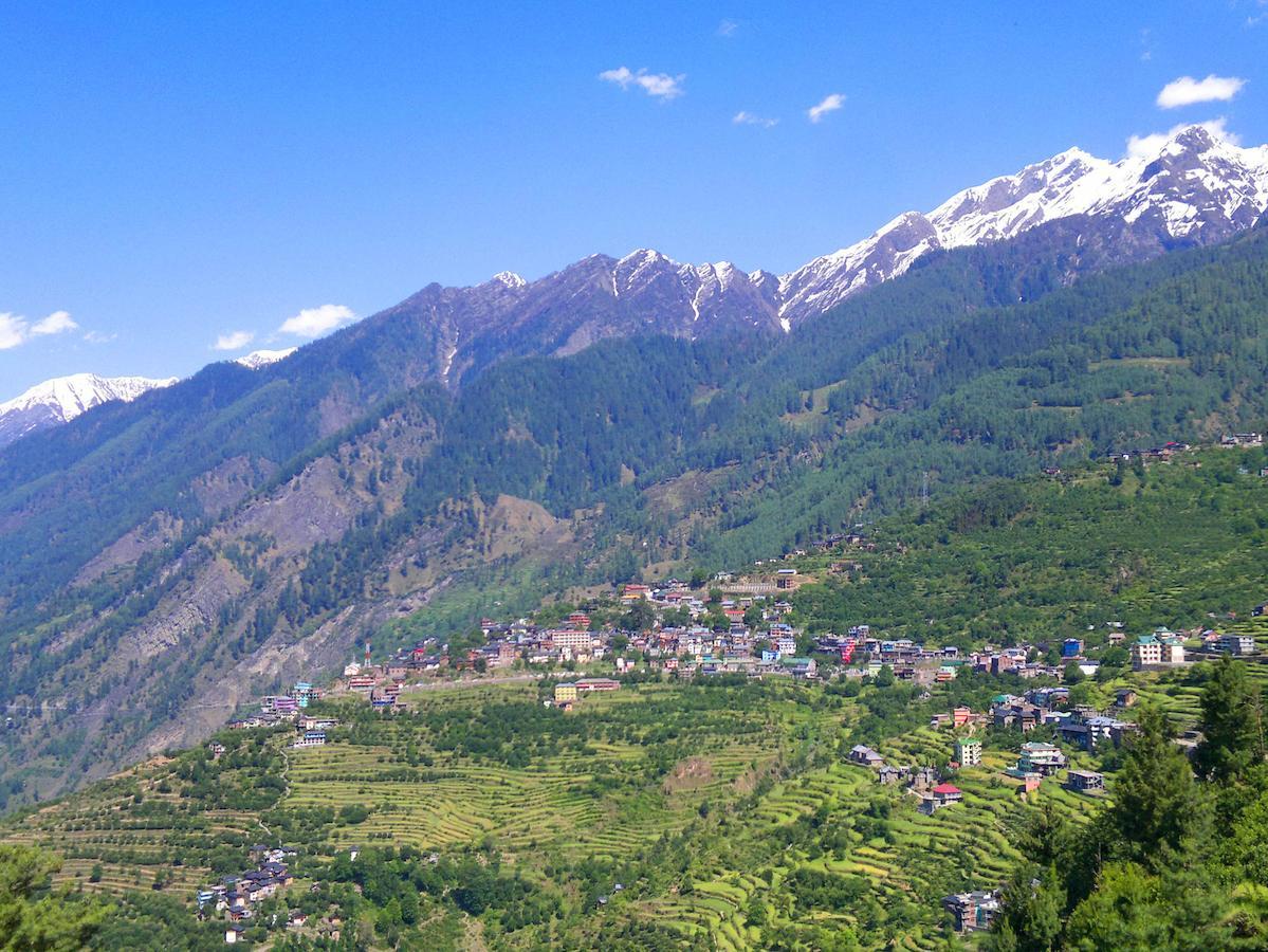 Hotel Bharmour View Brāhmaur Zewnętrze zdjęcie